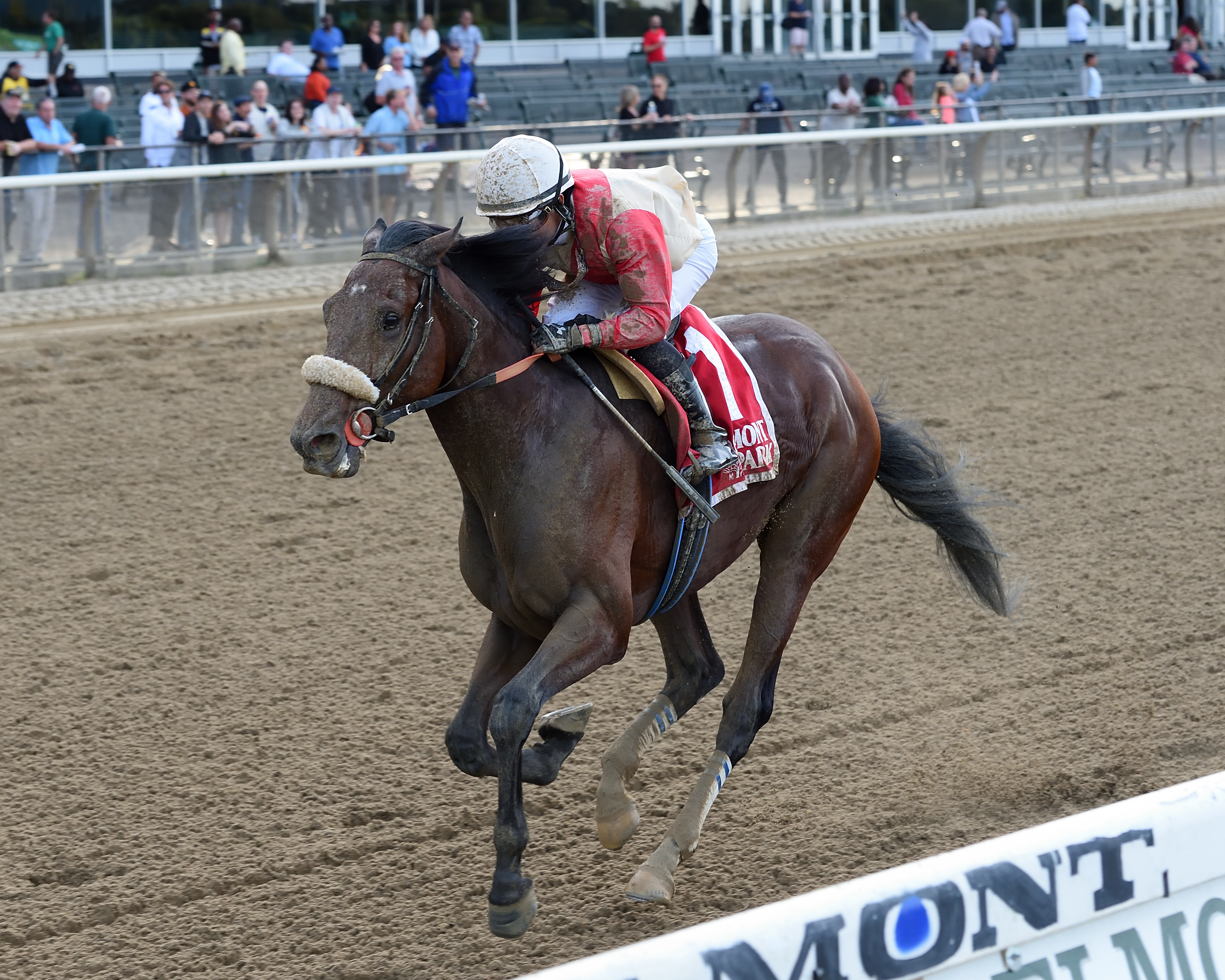 Rocketry wins 2018 Temperence Hill