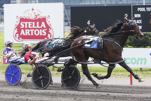 Rockyroad Hanover 8-7-21