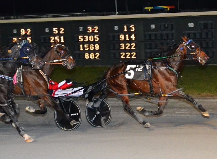 Rockyroad Hanover 11-24-21