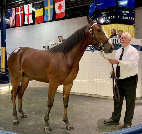 Rodeo Blue Chip 11/6/18
