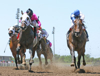 Rodeo's Castle