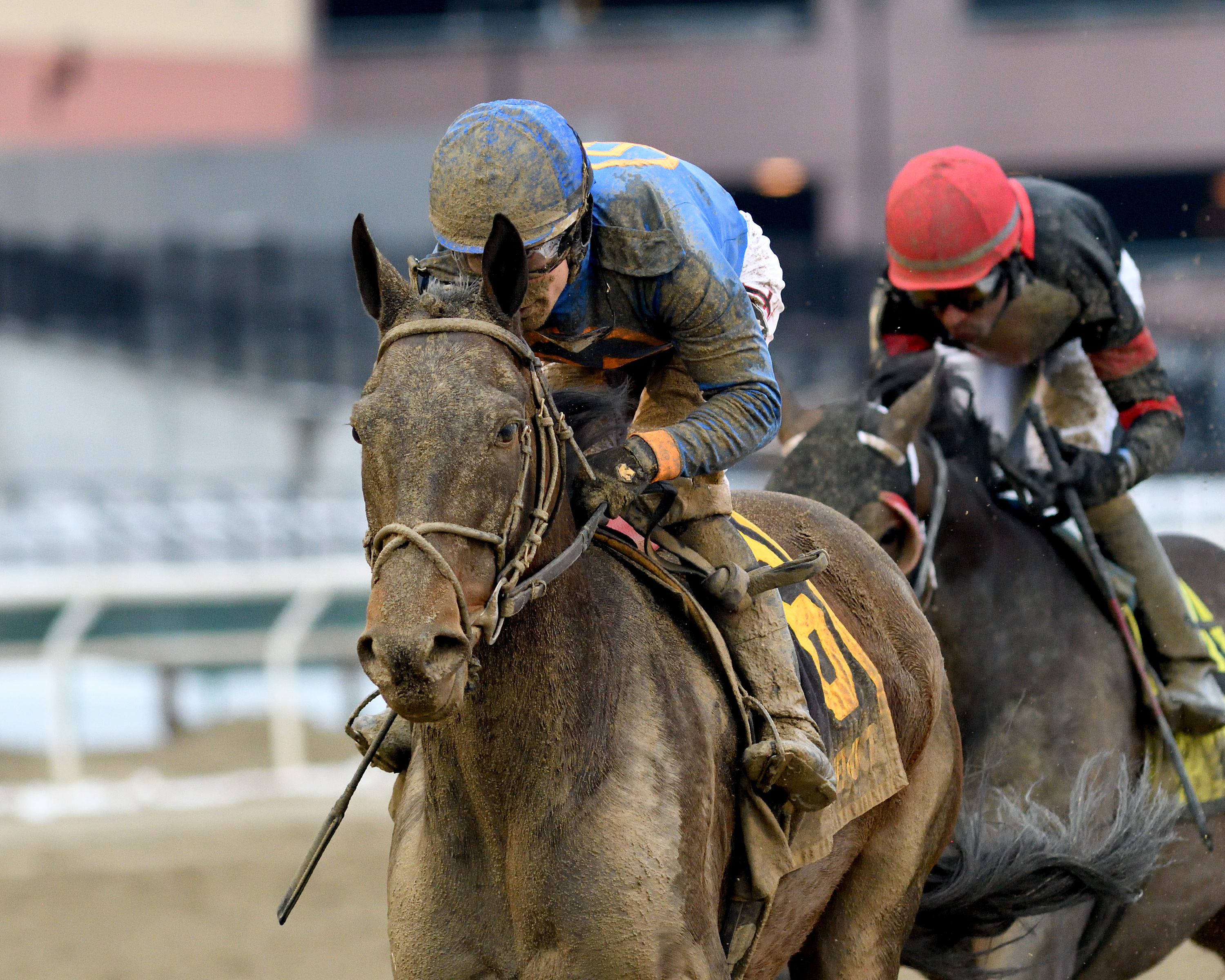 Royal Albert Hall wins the 2019 Bernardini Stakes