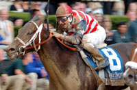 Rafael Bejarano & Runaway Model