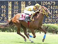 Running Lass