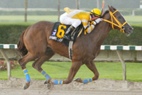 Running Lass