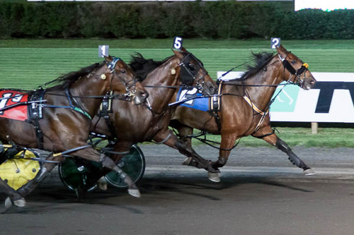 Ruthless Hanover 6-19-21