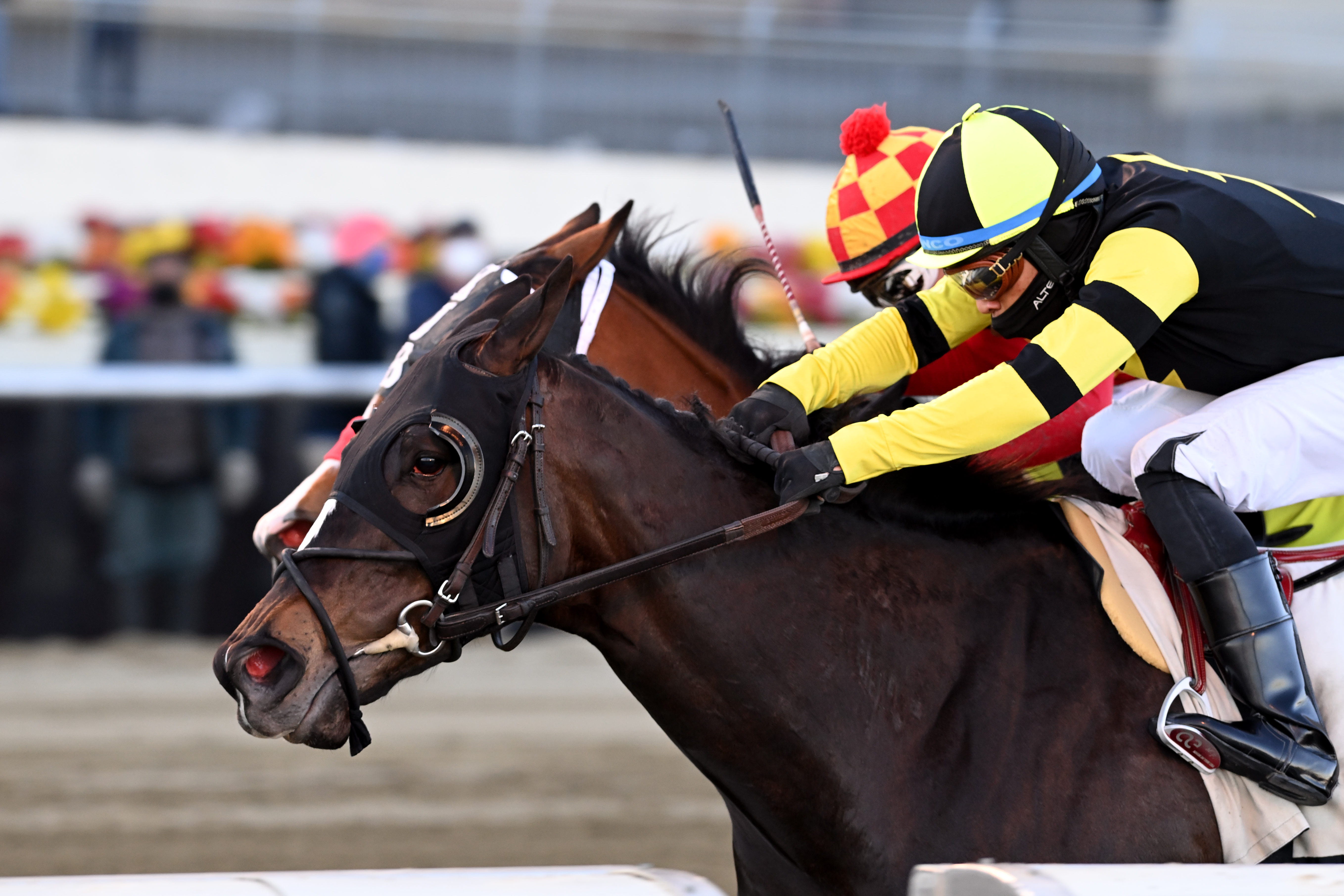 Sadie Lady wins Correction Stakes 3-13-2021