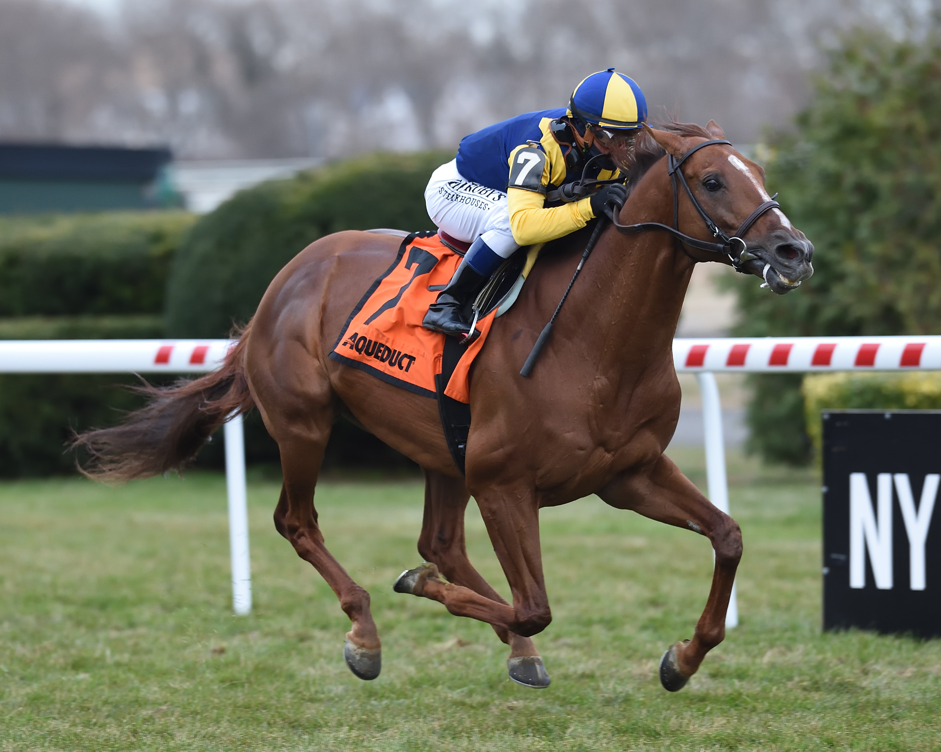 Sadler-s Joy wins the 2019 Red Smith