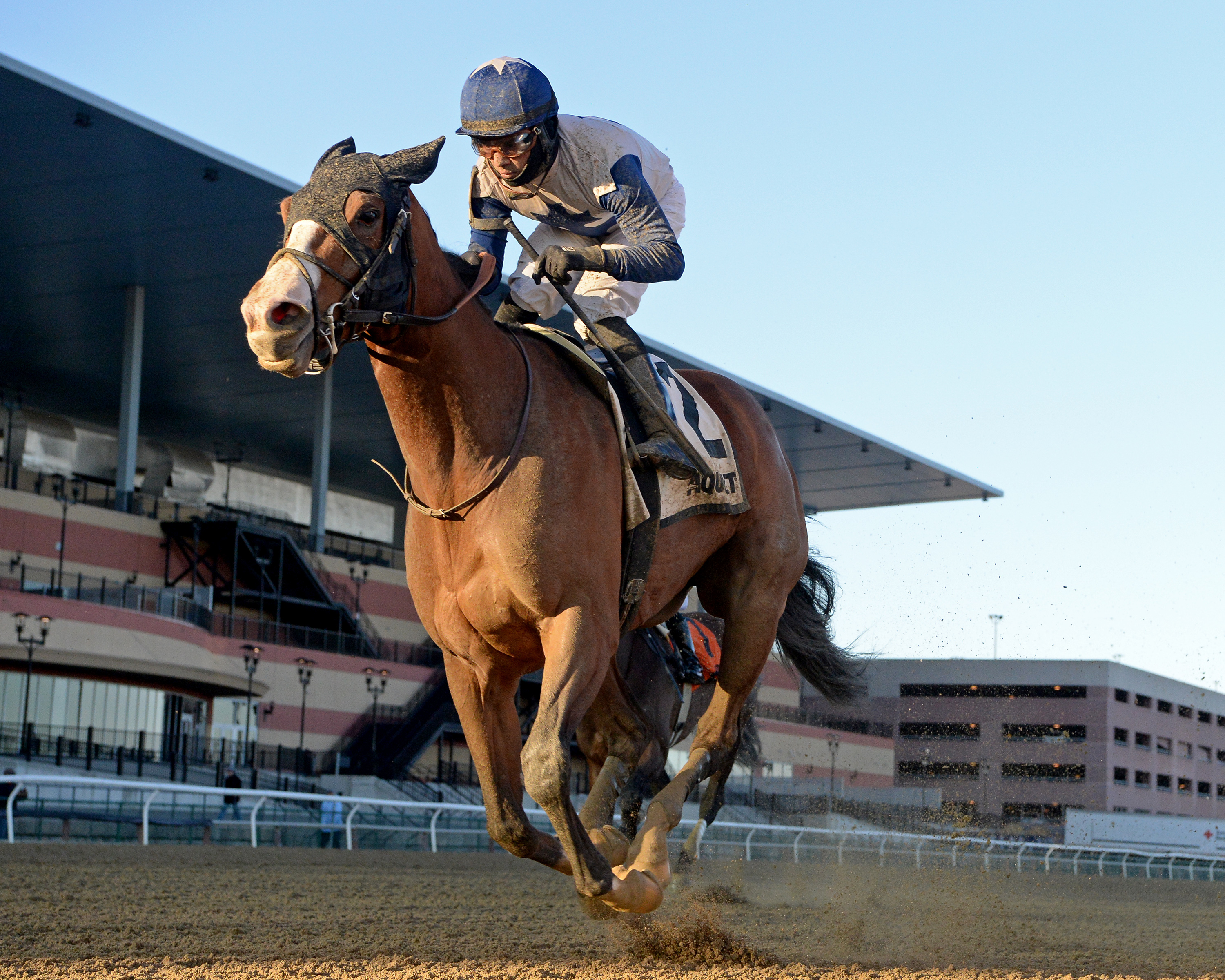 Saguaro Row wins the 2020 Interborough Stakes