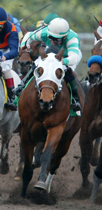 Saint Afleet