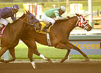 Saint Afleet