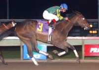 Saltwater Runner