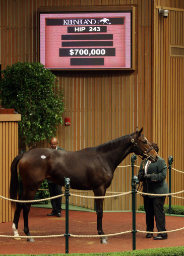 Samantha Nicole at Keeneland