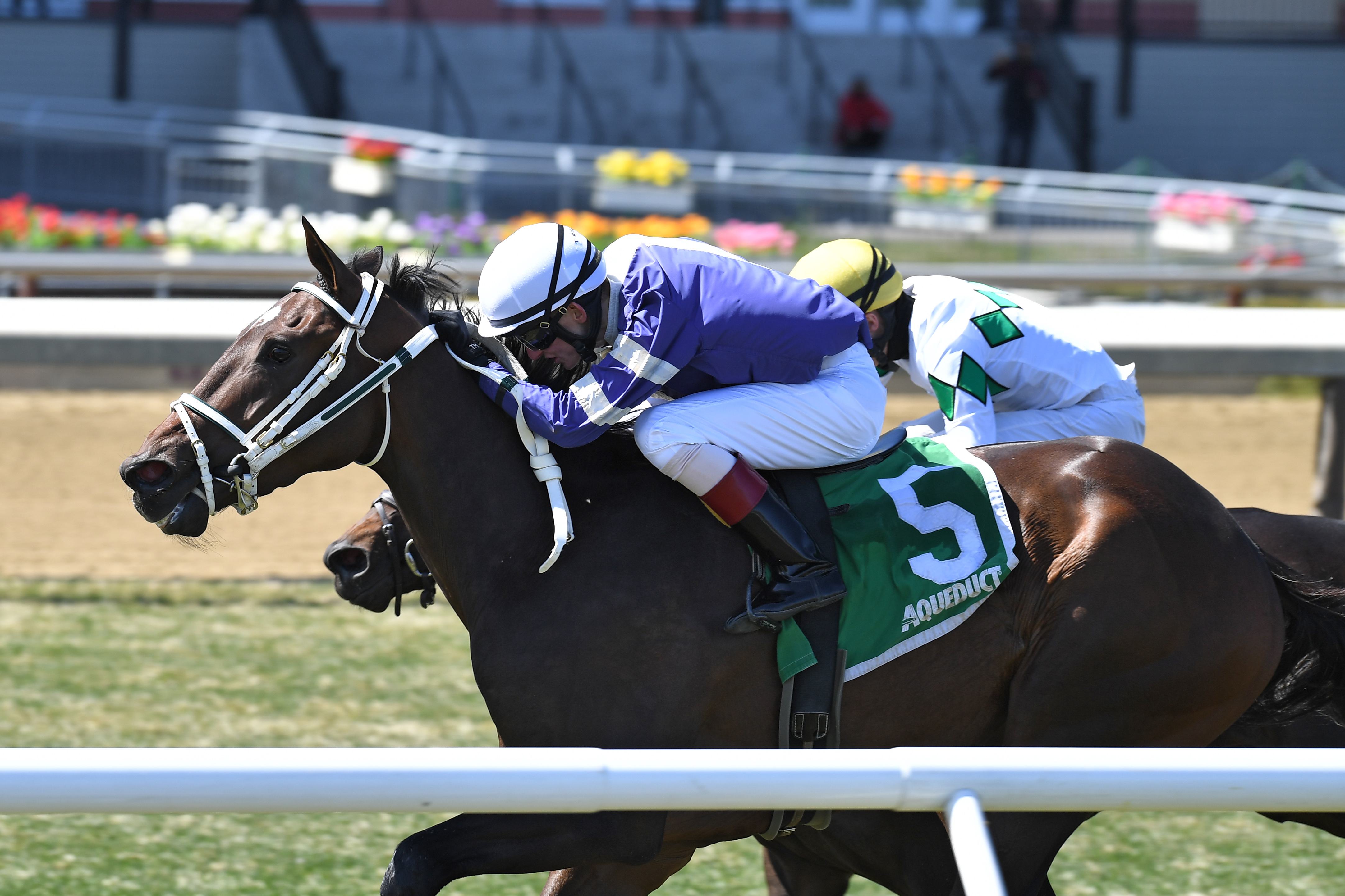 Sand Dancer wins 2018 Woodhaven