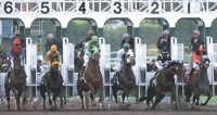 Santa Catalina Stakes