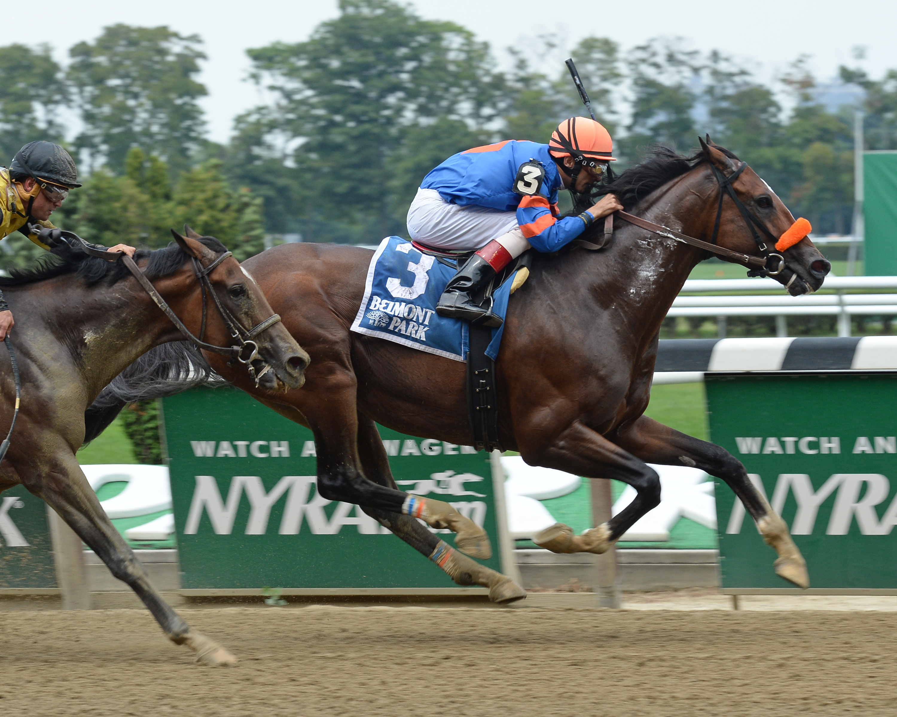 Saratoga Snacks