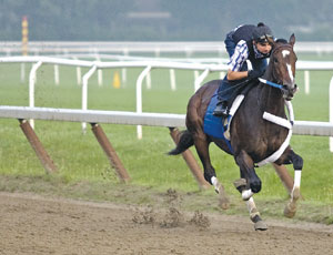 Rachel Alexandra