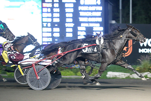 Saulsbrook Olympia 10-1-21