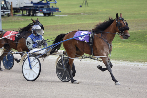 Scarlett Hanover 8/3/20