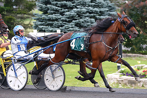 Scarlett Hanover 7-5-21