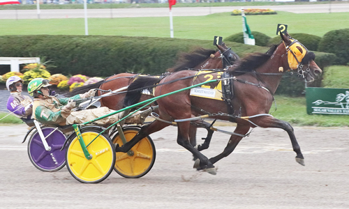 Scarlett Hanover 9-22-21