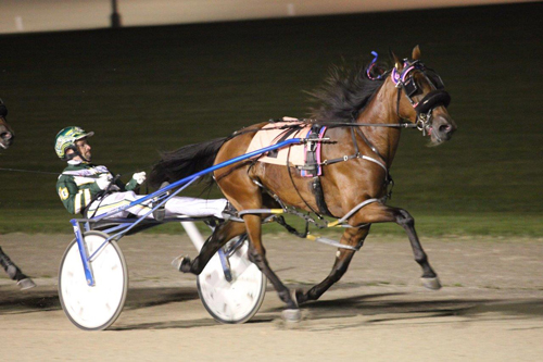 Scarlett Hanover 9/4/20
