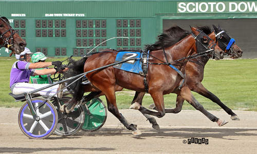 Scioto OSF dead-heat 8-5-22