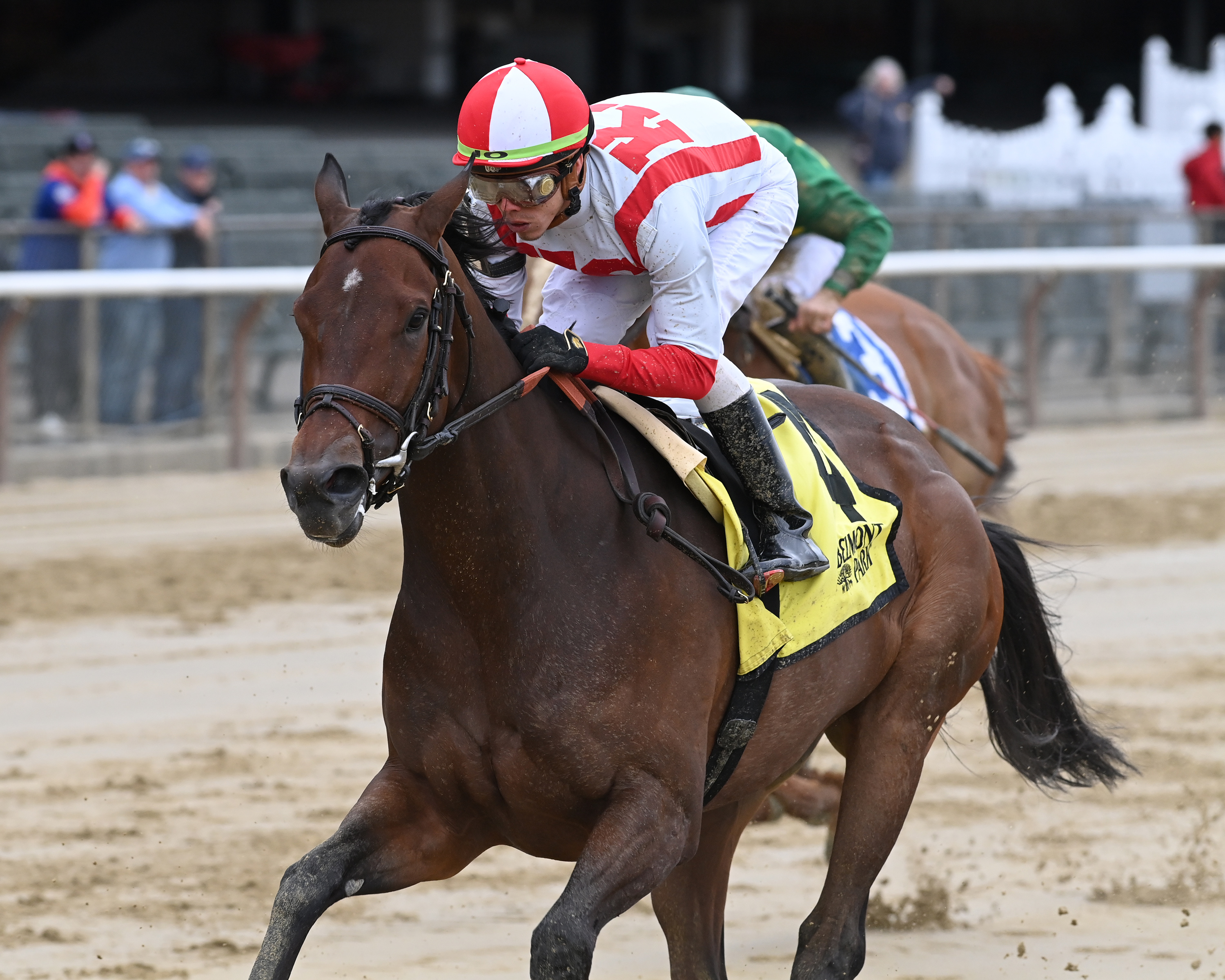 Search Results wins Ruffian 5-8-2022