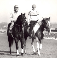 Seattle Slew