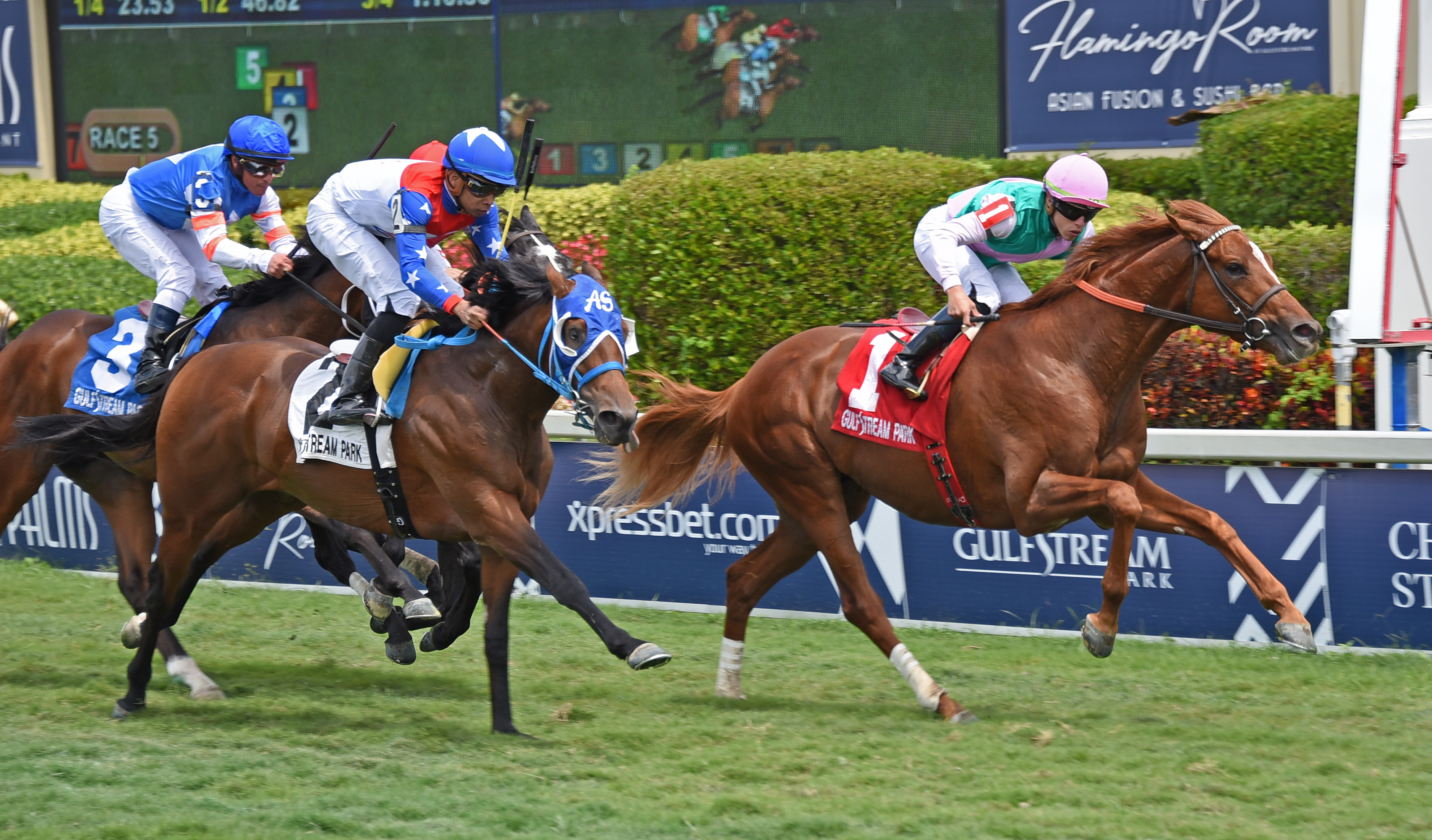 Seismic Wave wins the 2019 Cutler Bay Stakes