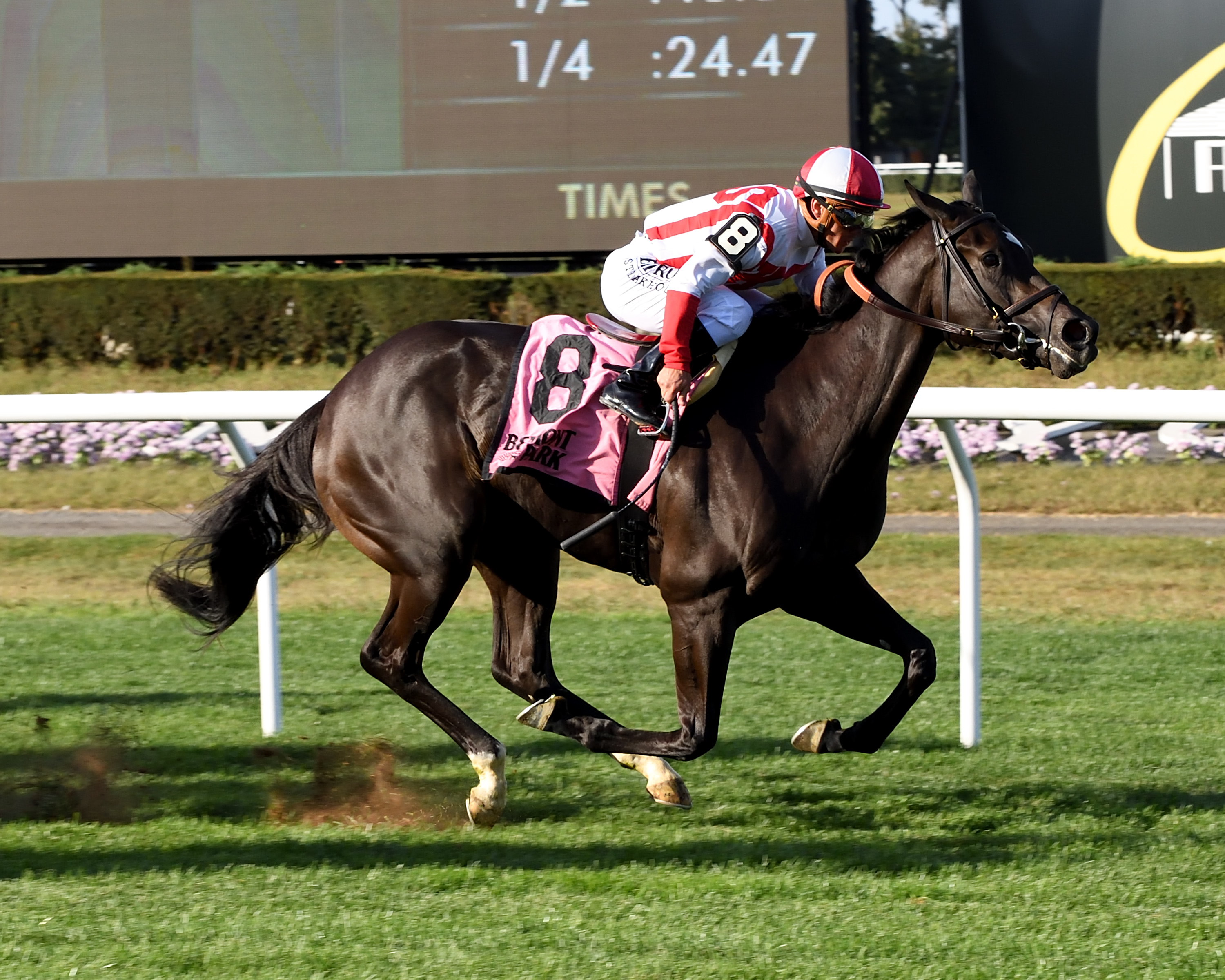 Selflessly wins the 2019 Miss Grillo Stakes