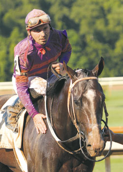 Shane Sellers