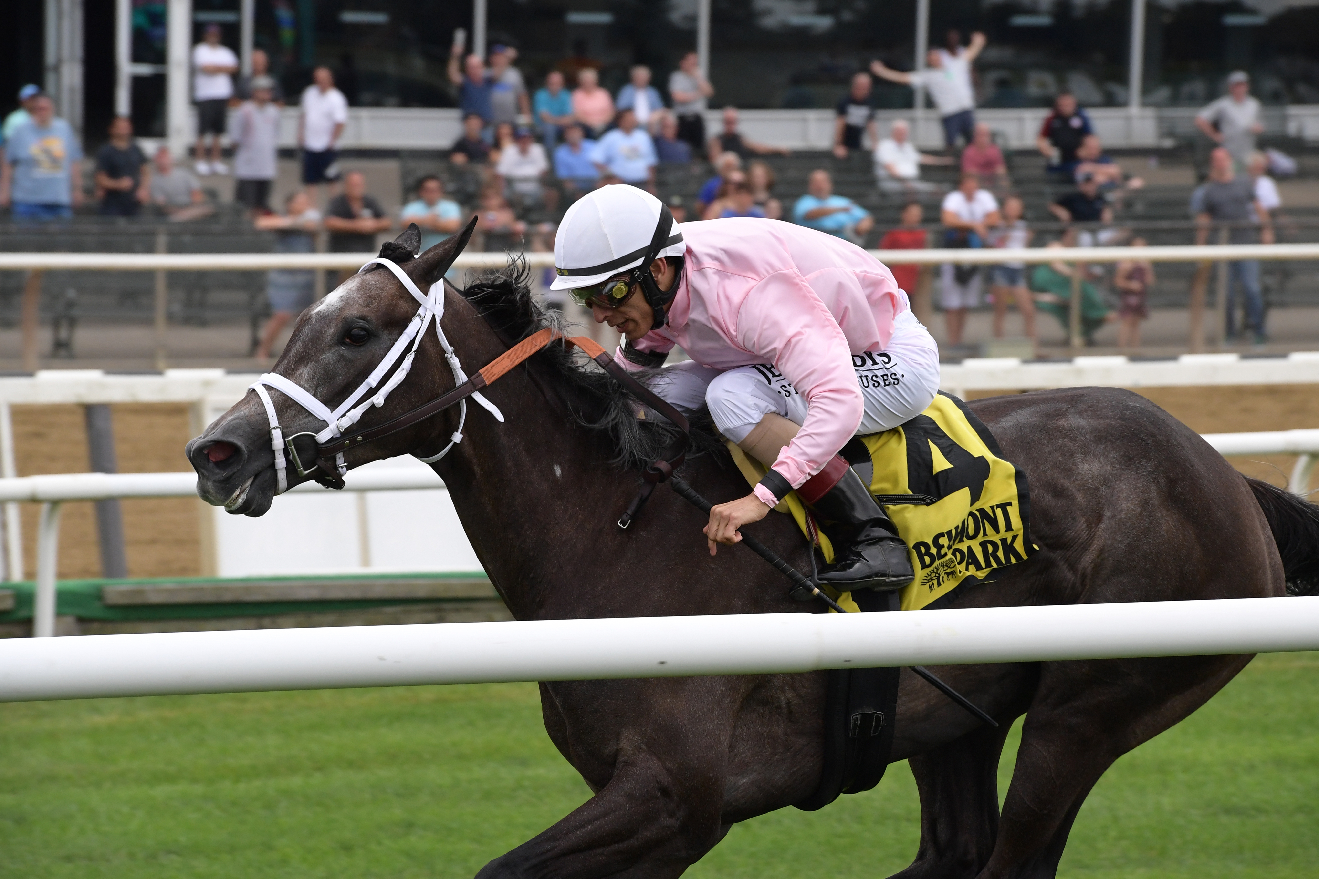 Semper Sententiae wins the 2019 River Memories Stakes