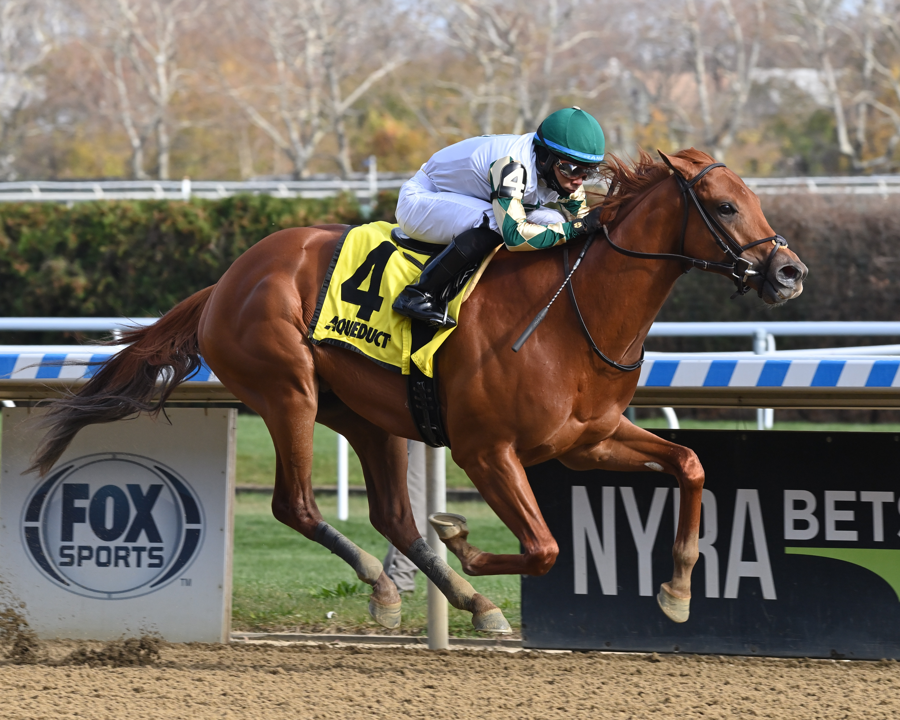 Senbei wins Notebook 11-21-2021