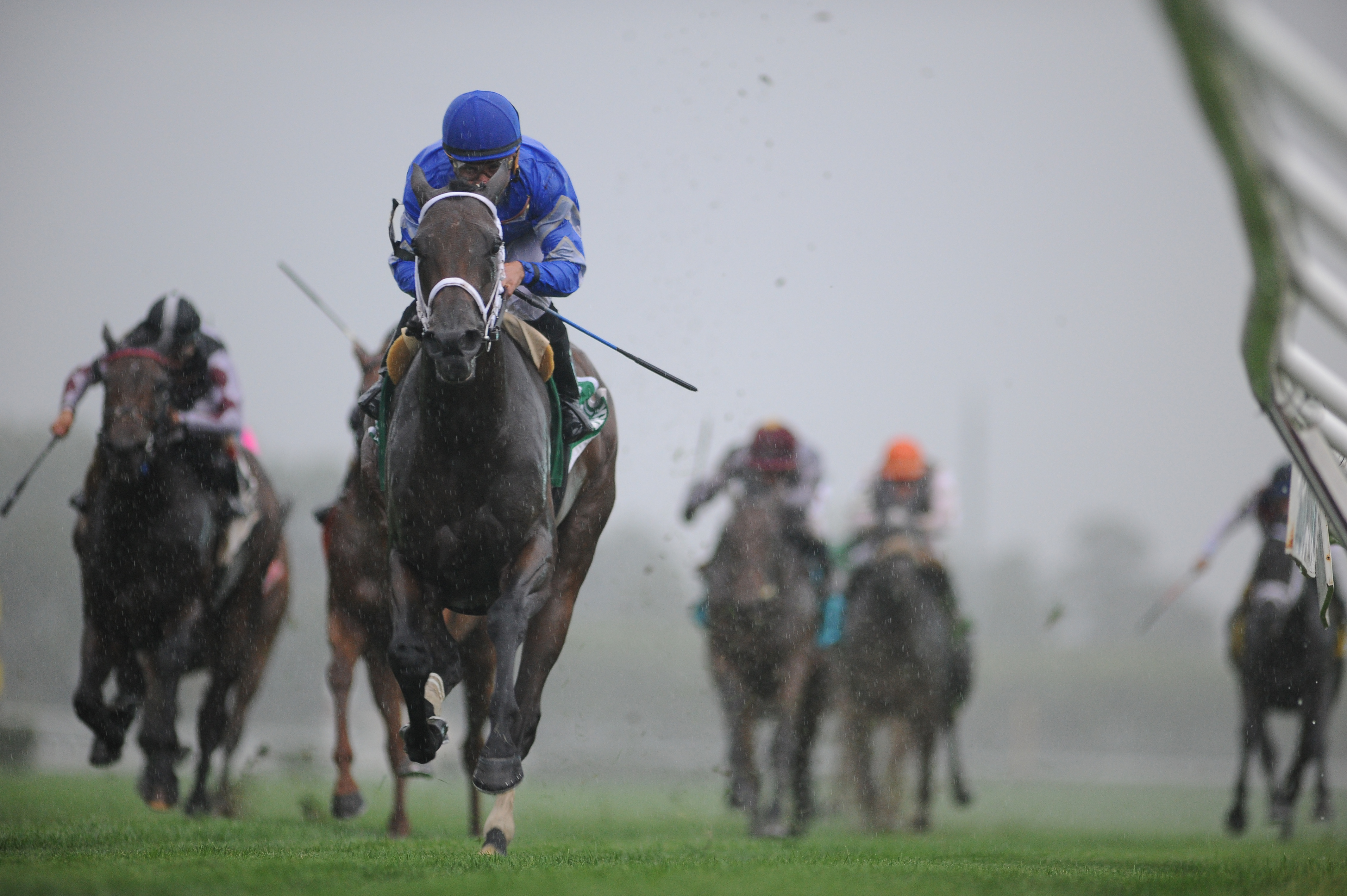 Sentiero Italia wins 2015 Sands Point