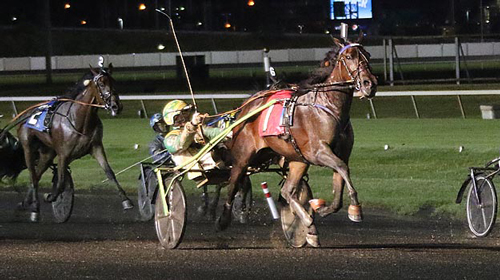 Side Bet Hanover 7/30/16