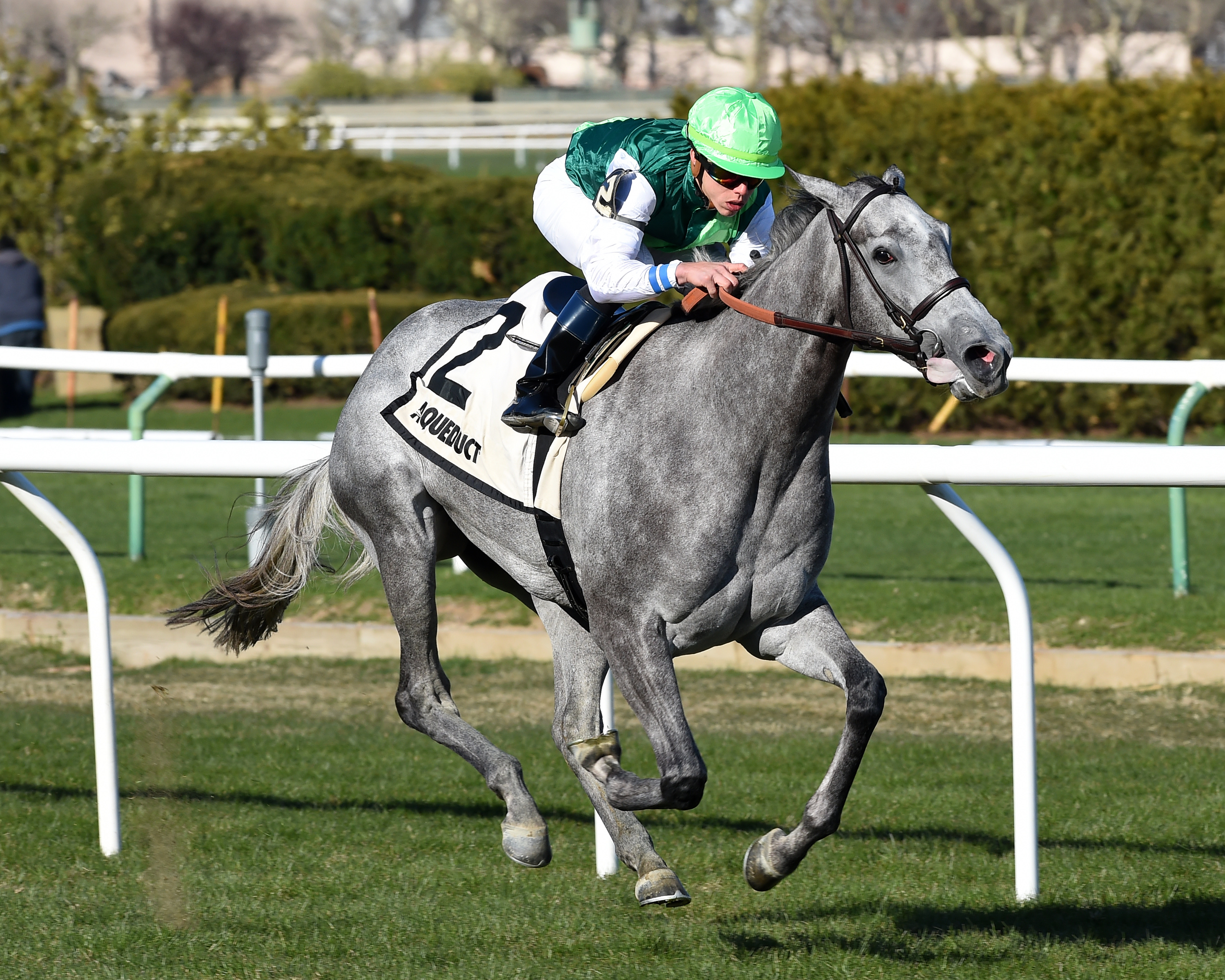 Significant Form wins the 2018 Memories of Silver