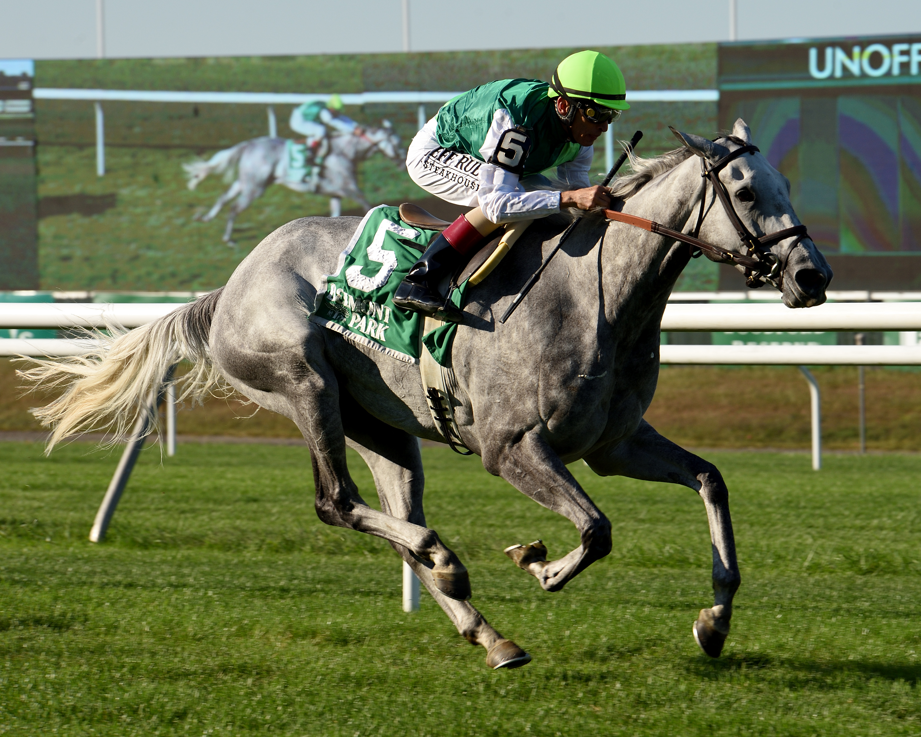 Significant Form wins the 2019 Noble Damsel