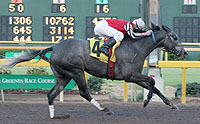 Silver Crown