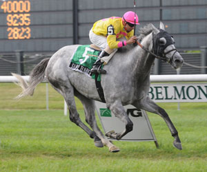 Silver Timber