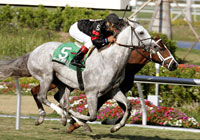 Silver Whistle