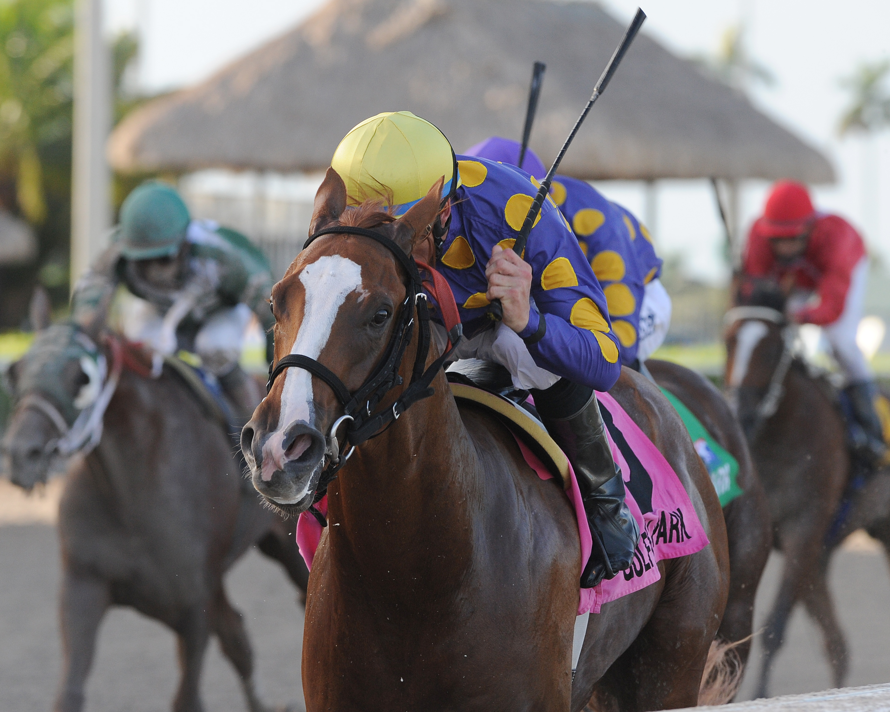Sing Praises wins 2014 Dr. Fager