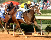 Sir Cherokee