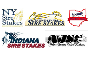 Sire Stakes