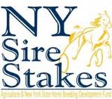 NYSS logo