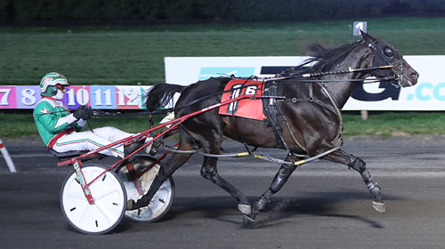 Skyway Fireball 12-1-22