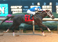 Smarty Jones