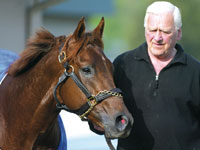 Smarty Jones