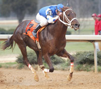 Smarty Jones