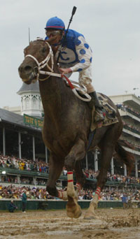 Smarty Jones
